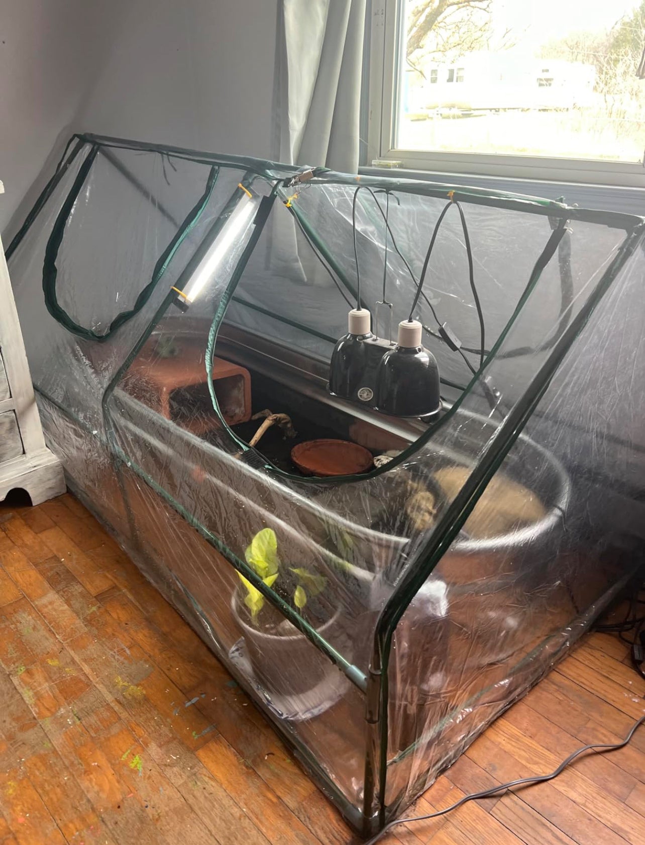 Small Green House With PVC Cover