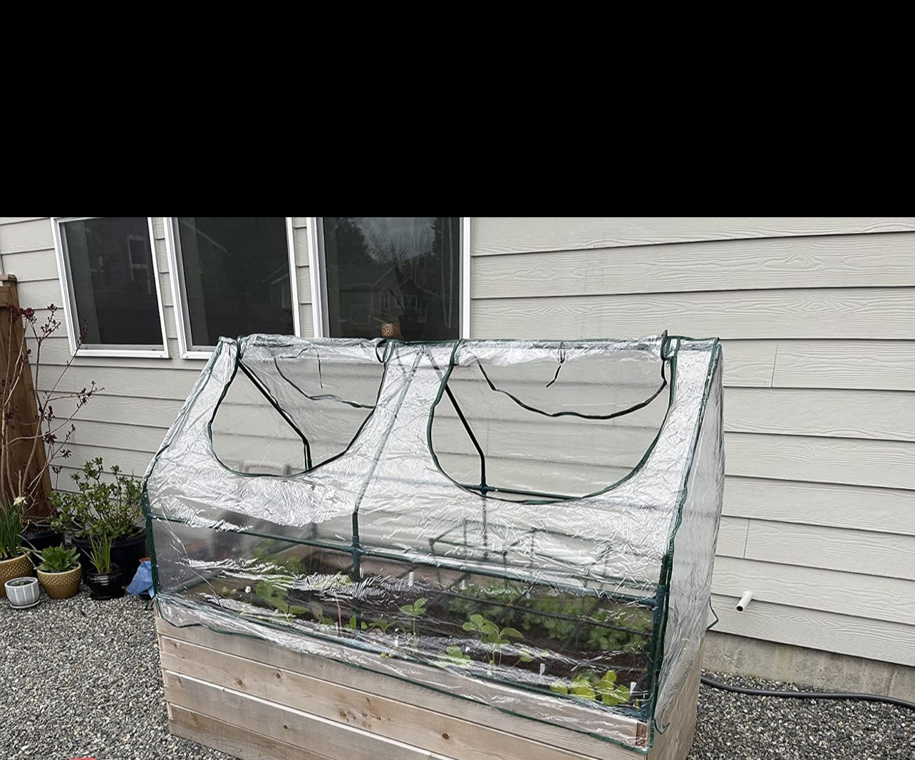 Small Green House With PVC Cover