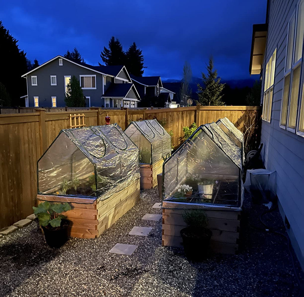 Small Green House With PVC Cover